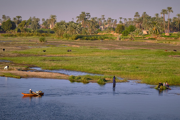 Fishing boat along the flooded agricultural fields of the Nile River.