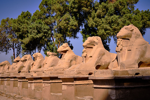 A row of ram-headed sphinxes at the entrance to Karnak Temple.
