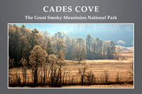 2012 Nov - Cades Cove, GSMNP, TN