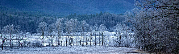 Cades Cove, GSMNP