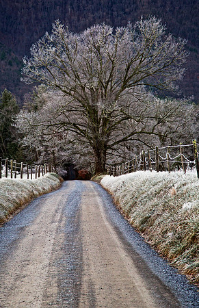 Cades Cove, GSMNP