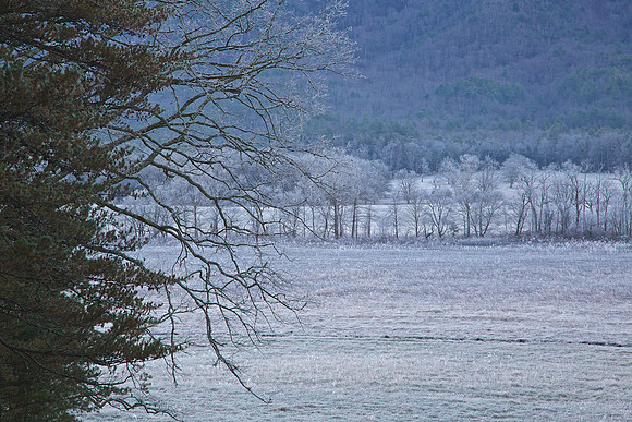 Cades Cove, GSMNP