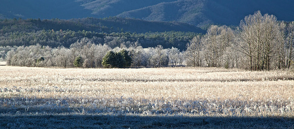 Cades Cove, GSMNP