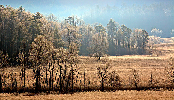 Cades Cove, GSMNP