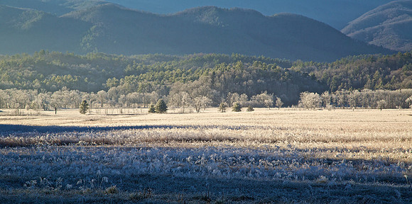 Cades Cove, GSMNP