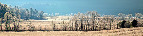 Cades Cove, GSMNP