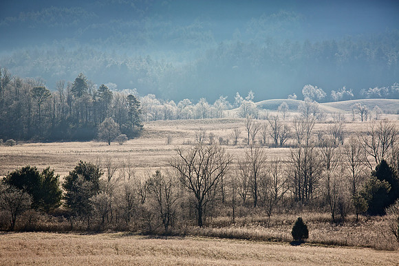 Cades Cove, GSMNP