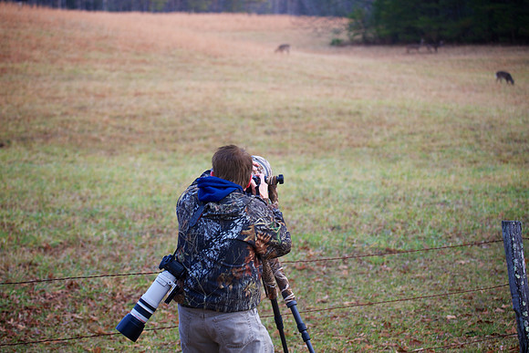 Cades Cove, GSMNP
