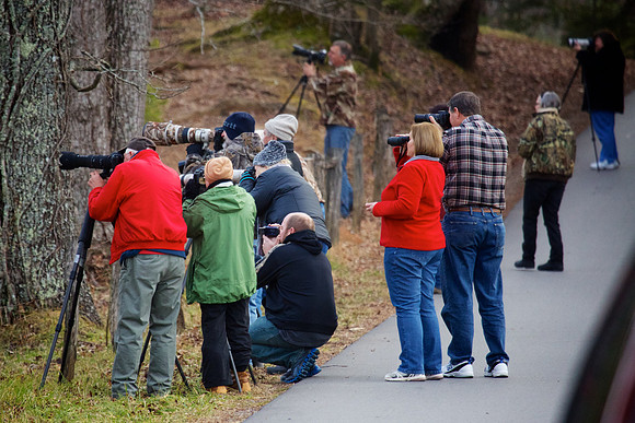 Cades Cove, GSMNP