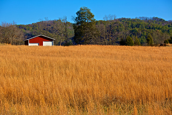 Elkmont, TN