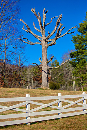Elkmont, TN