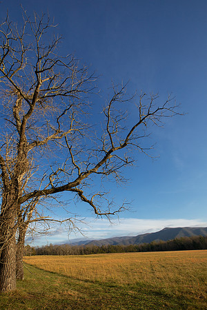 Cades Cove, GSMNP