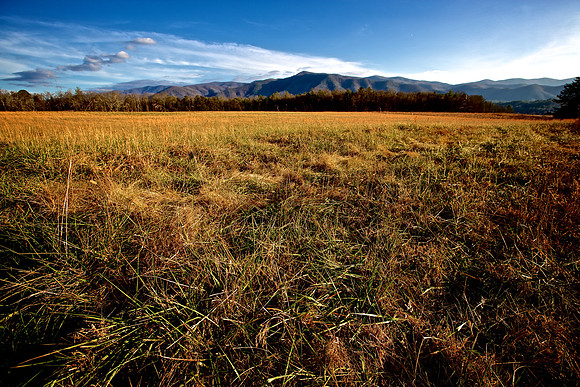 Cades Cove, GSMNP