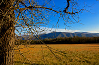 2012 Nov - Cades Cove, GSMNP, TN