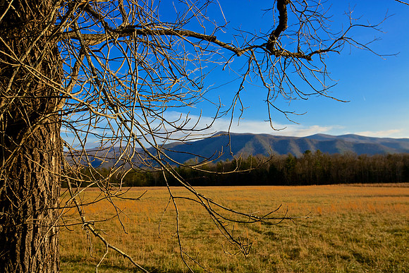 Cades Cove, GSMNP
