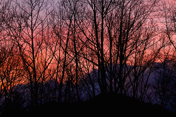 Cades Cove, GSMNP