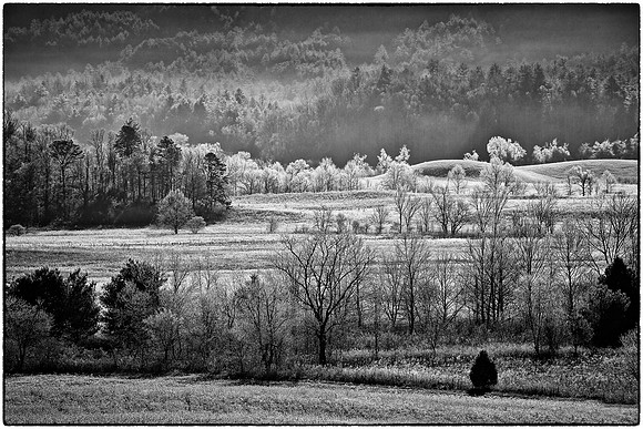 Cades Cove, GSMNP