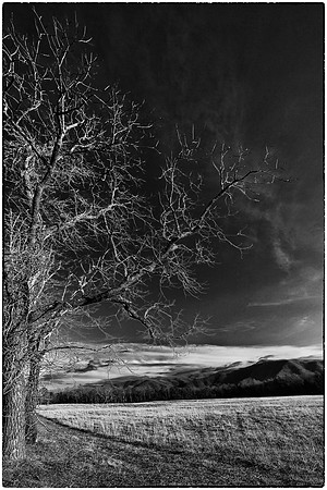 Cades Cove, GSMNP