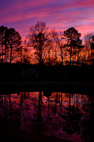 2025 Feb - Naramore Sunset