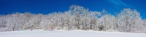Galena Snows