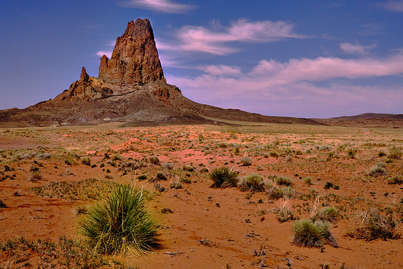 Agathla Peak rises over 1500 feet  above the surrounding terrain and is 7 miles north of Kayenta, AZ.