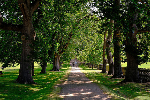 On Sundays the prisoners marched up this path to church wearing leg irons, some as heavy as 42 lbs.