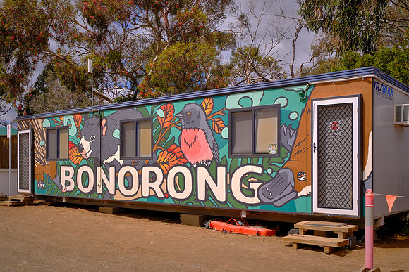 The Bonorong Wildlife Sanctuary focuses on rescuing, rehabilitating, and conserving Australian wildlife.