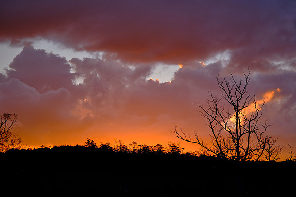 Sunset over Cradle Mountain.