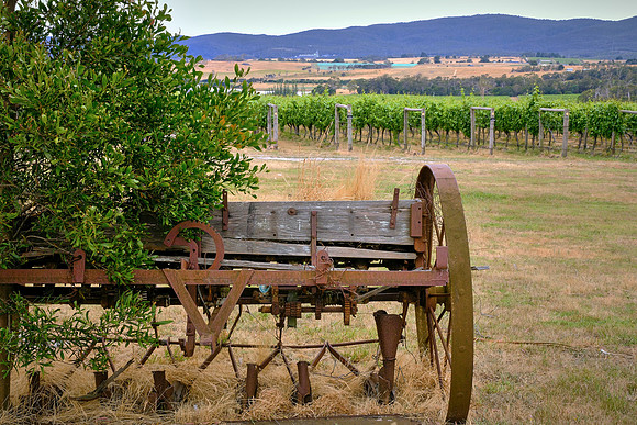We visited Small Wonder Wines and had ...