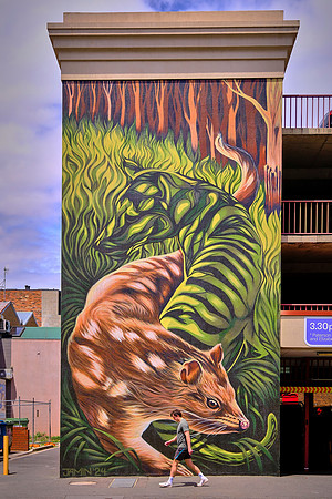 Outdoor art in Launceston.