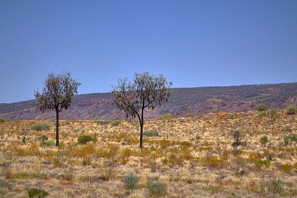 In 1871, surveyors visited the area while scouting routes for the Overland Telegraph Line.
