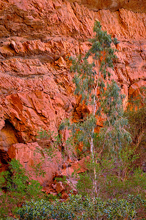 800 million years ago, a shallow sea deposited quartz sand coated in iron oxide across central Australia.