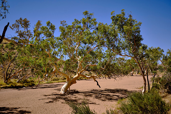 Erosion by Roe Creek carved the gap from the quartzite cliffs with underlying rocks dating back 2 billion years.