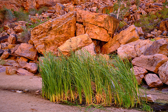 350-300 million years ago, the Alice Springs Orogeny uplifted the area into mountains through folding and faulting.