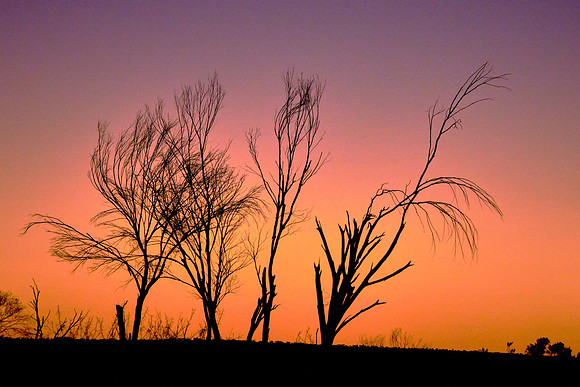 Sunset over the Outback in the Red Center.