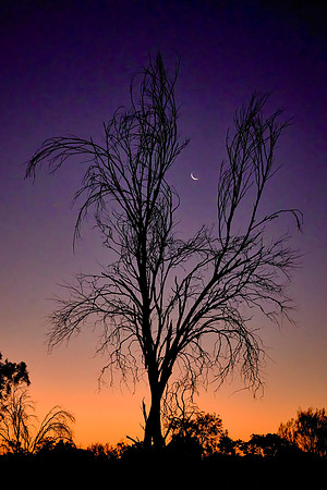 Sunset over the Outback in the Red Center.