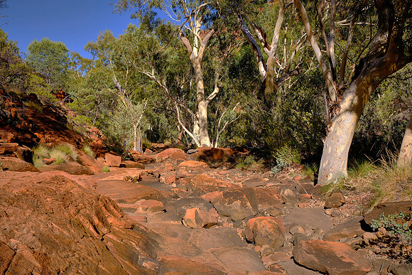 For thousands of years, the canyon has held  profound cultural importance for the Luritja and Pertame peoples.