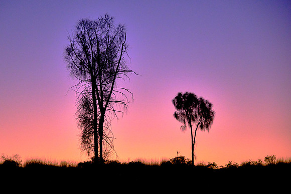 We traveled way the hell-and-gone to Ayers Rock (aka Uluru) to view the sunrise.