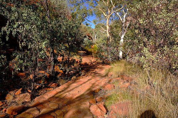 Kings Canyon in Watarrka National Park showcases dramatic sandstone geology.