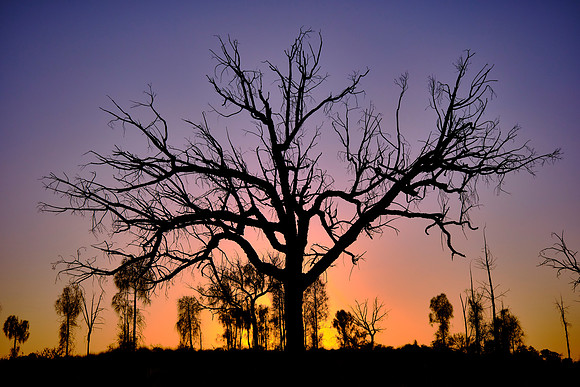 These compacted into coarse arkose layers under pressure as central Australia lay beneath a shallow sea.