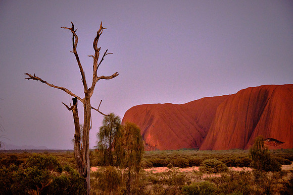 550 mya mountains rose eroding into sediments like sand and gravel carried by rivers into inland basins.