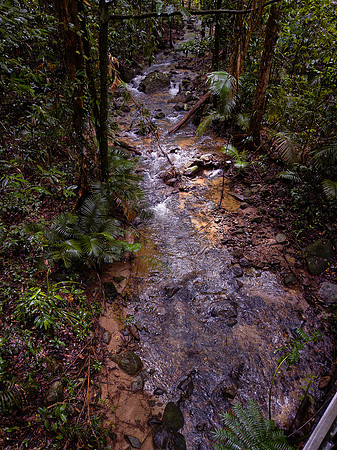 Mossman Gorge is a stunning section of the World Heritage-listed Daintree National Park near Cairns.