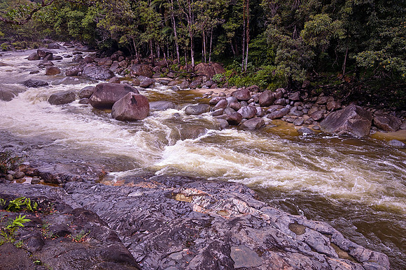 The area is the traditional lands of the Kuku Yalanji people dating back over 50,000 years.