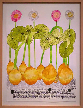 She often details medicinal plants and sea life with handwritten notes on their cultural uses.