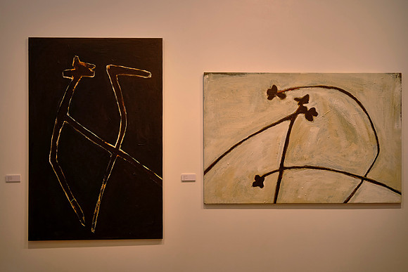Another museum in Cairns featured an exhibit titled "The Body Language of Plants."