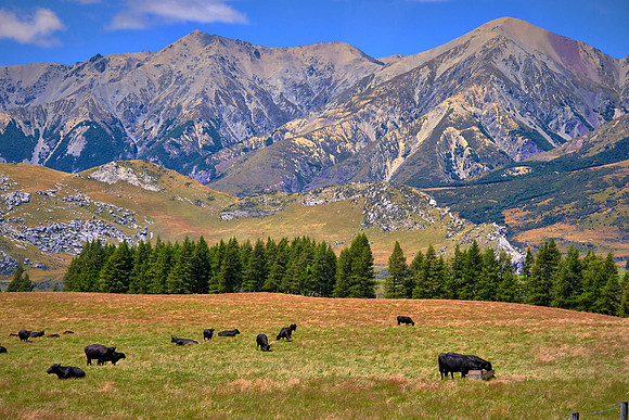 The Southern Alps form New Zealand's highest and longest mountain range on the South Island.