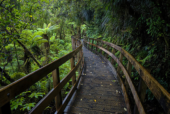 The river cuts through white granite cliffs framed by native rainforest, evergreen trees, shrubs, and ferns.