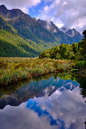 We stopped at Mirror Lakes in Fiordland National Park.
