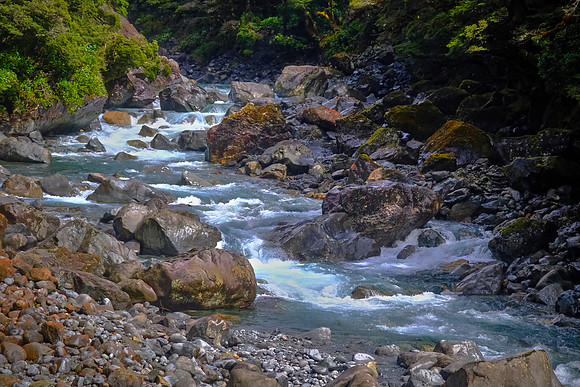 Fiordland National Park is the largest of the 13 national parks in New Zealand, with an area of 4,868 sq mi.