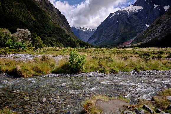 During the cooler past, glaciers carved many deep fiords, the most famous of which is Milford Sound.